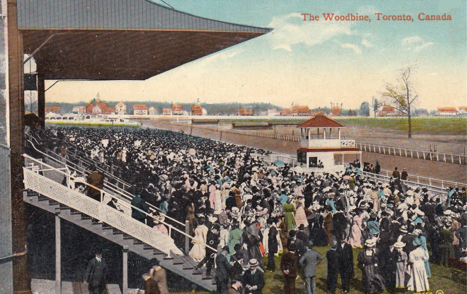 xx postcard - toronto - woodbine race track - called the woodbine - huge crowd on ground around small stand - tinted - c1910